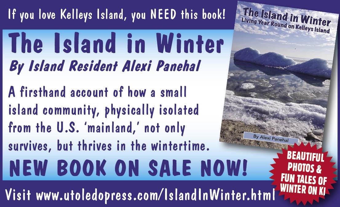 The Island In The Winter ~ Author Alexi Panehal